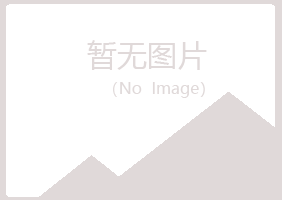 银川西夏残缺能源有限公司